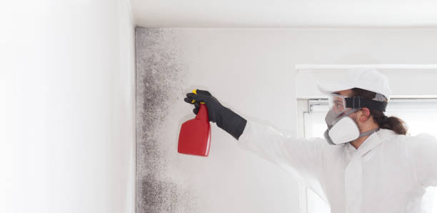 Best Professional Mold Removal  in Unadilla, GA