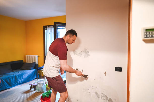 Best Mold Removal Company Near Me  in Unadilla, GA