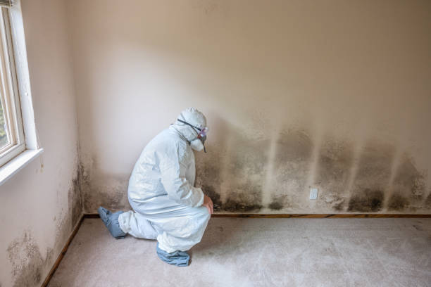 Best Mold Testing  in Unadilla, GA