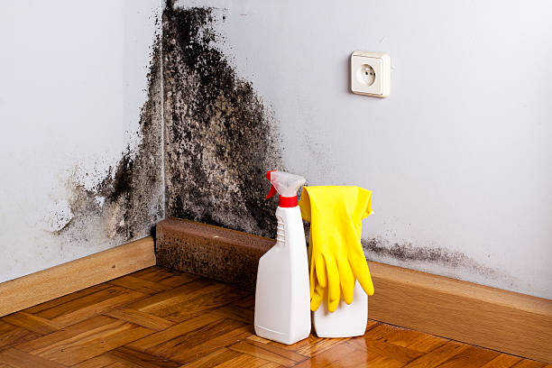 Best Crawl Space Mold Removal  in Unadilla, GA